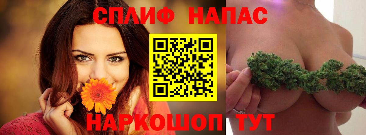 Каннабис план Новокубанск